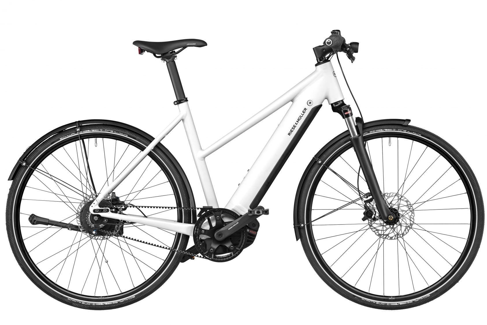 Roadster cheap electric bike