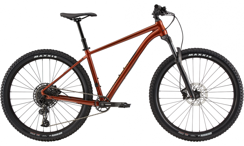 2020 Cannondale Cujo 1