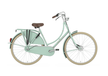 2019 Gazelle Classic pale green