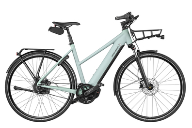 Riese & Müller Roadster Mixte Vario 45cm Salvia Matt 625Wh Battery Purion Display Abus Shield & Extension Chain Comfort Kit